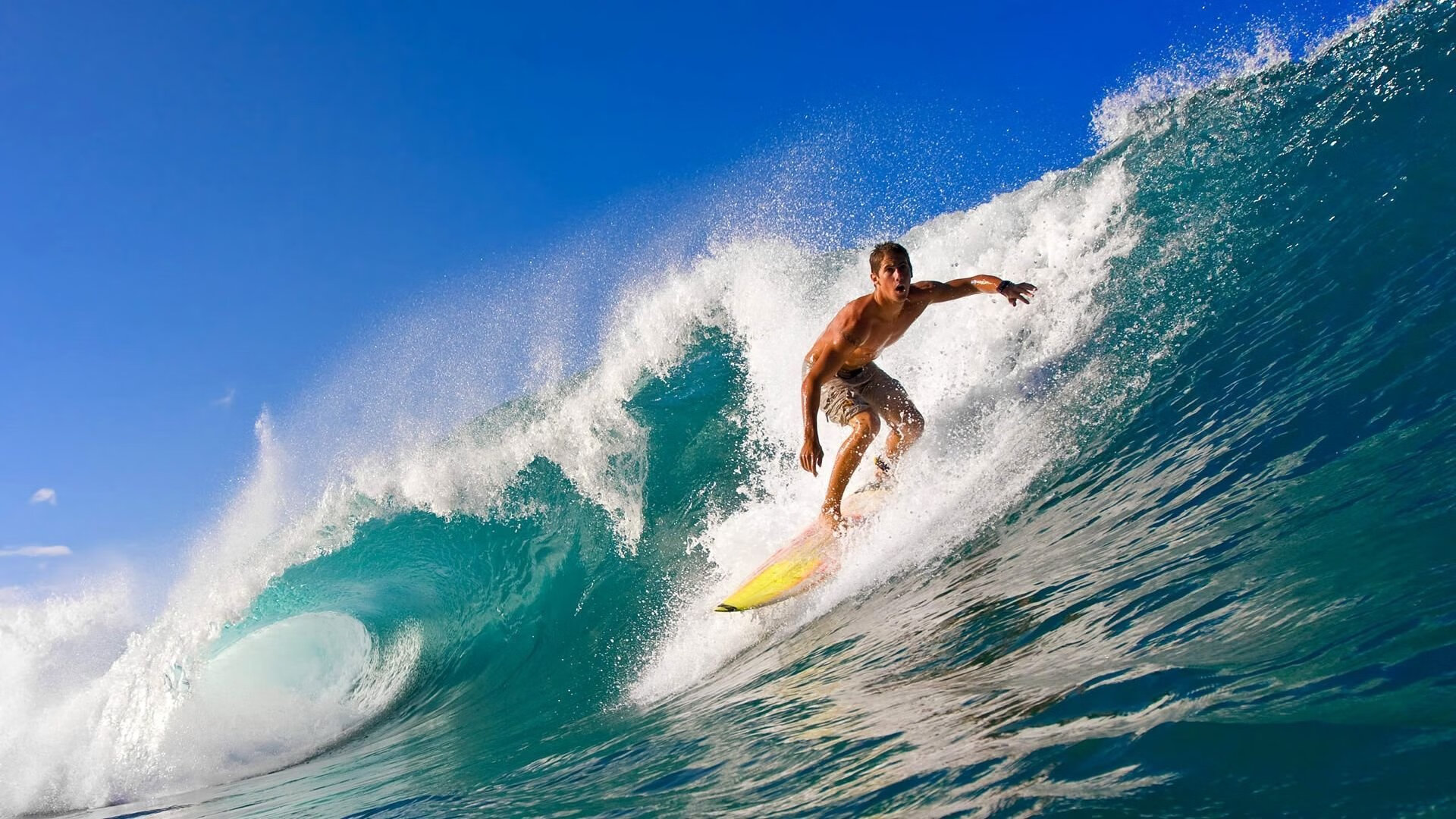 _魔术队战术执行出色，战胜强队_，魔术队全名叫什么